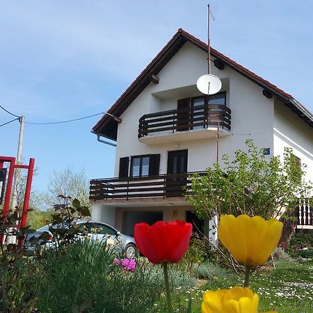 Apartment Ankica Selište Drežničko Buitenkant foto