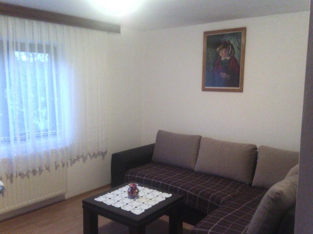 Apartment Ankica Selište Drežničko Kamer foto