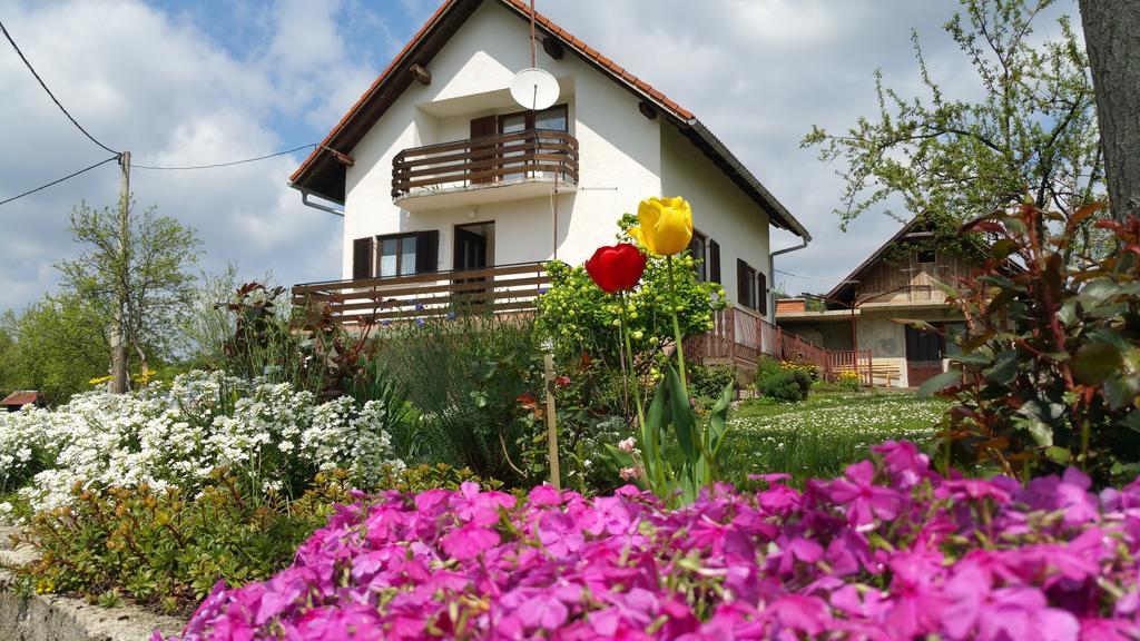 Apartment Ankica Selište Drežničko Buitenkant foto