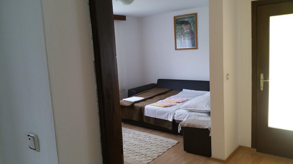 Apartment Ankica Selište Drežničko Buitenkant foto