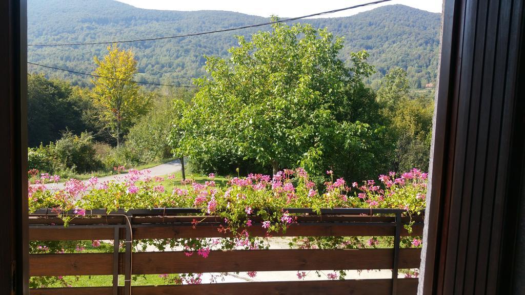 Apartment Ankica Selište Drežničko Buitenkant foto