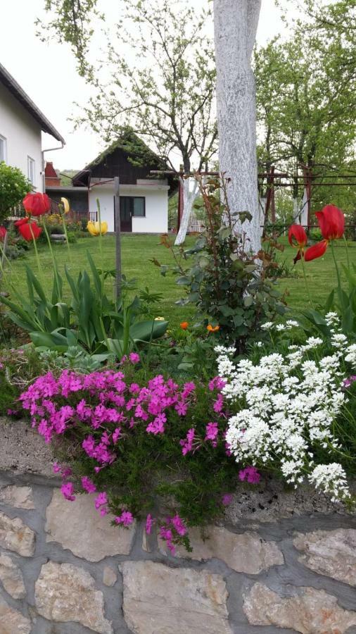 Apartment Ankica Selište Drežničko Buitenkant foto