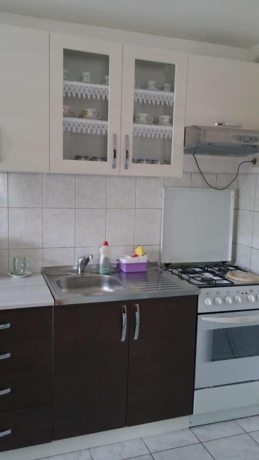 Apartment Ankica Selište Drežničko Buitenkant foto