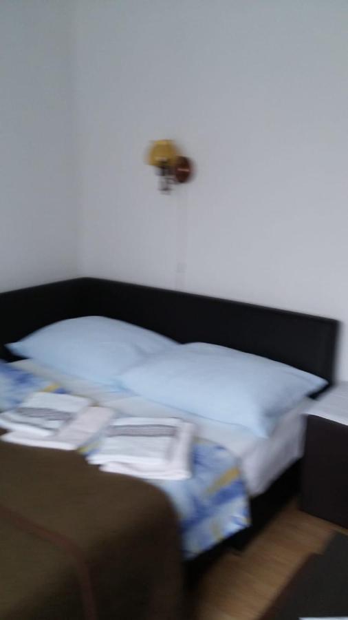 Apartment Ankica Selište Drežničko Buitenkant foto