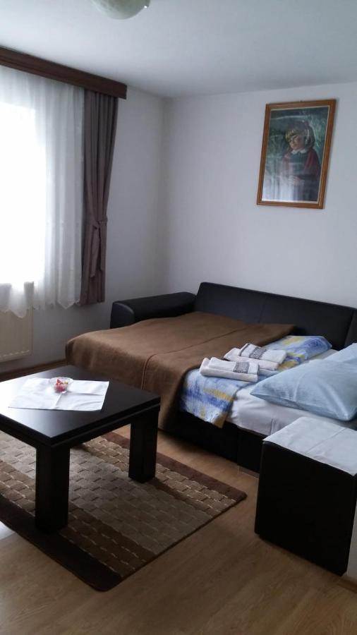 Apartment Ankica Selište Drežničko Buitenkant foto